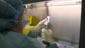 Portugal já administrou mais de 20 milhões de doses de vacinas contra a Covid-19		