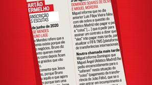 Bruno Lage critica Benfica por apostar 'monos', revelam escutas