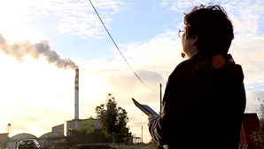 "É um cheiro doentio": População de Carviçais revoltada com projeto para fábrica poluente