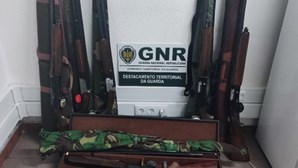 Cinco detidos em operação da GNR na A25