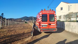 Homem de 63 anos morre em queimada em Oliveira de Azeméis
