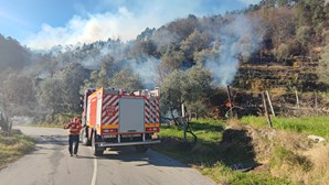 Dois meios aéreos e mais de 100 operacionais combatem incêndio em Vale de Cambra
