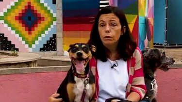 Apuros a dobrar: Wally e Maggie têm fobia social