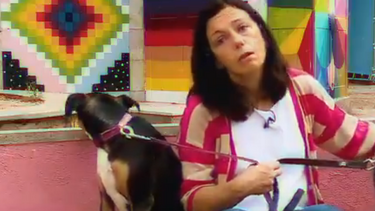 Wally e Maggie já se habituaram à presença de cães