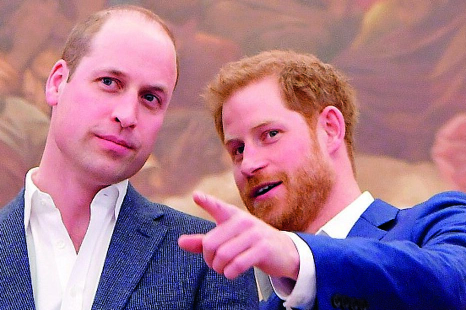 William e Harry