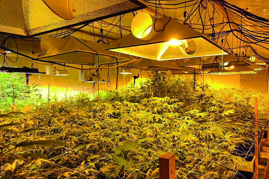 2022-01-04_22_54_39 _fotosgeral_Fotos_2-41719569 (12459475).jpg