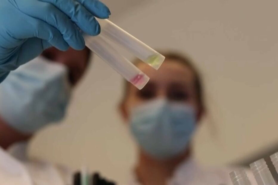 2022-01-13_18_56_10 DGS aconselha testes antigénio e PCR para contactos de alto e baixo risco de casos confirmados de Covid-19.jpg