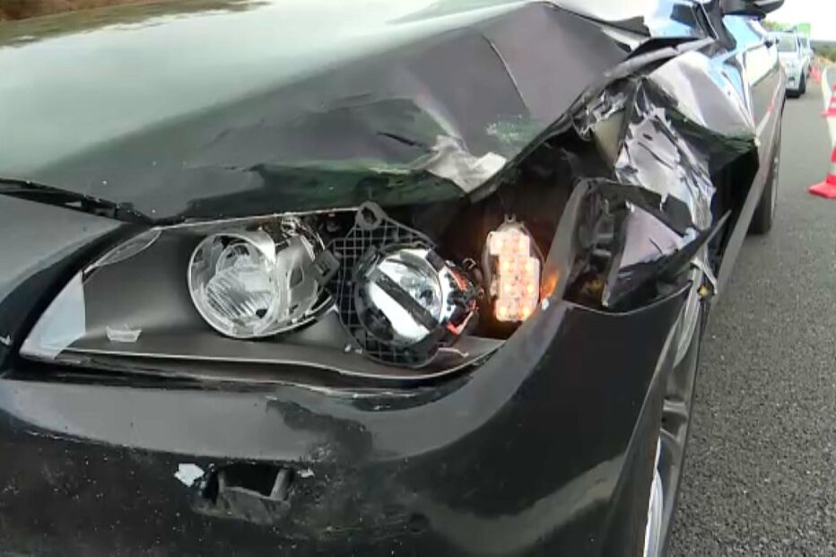 Cabrita arguido por acidente mortal na A6