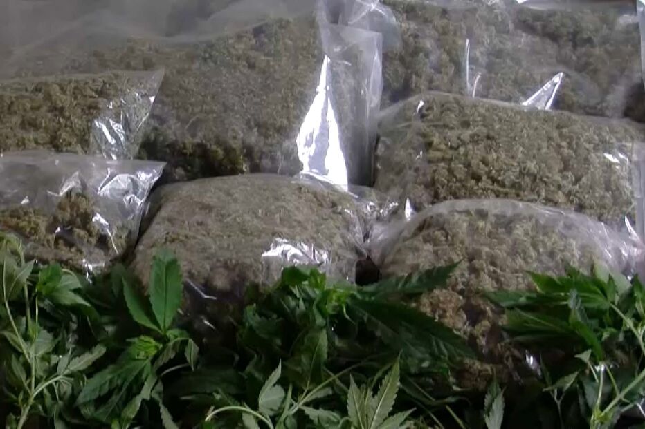 40% dos portugueses usam canábis para tratar depressão e ansiedade