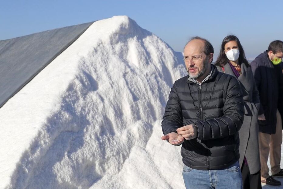 Rui Tavares em campanha