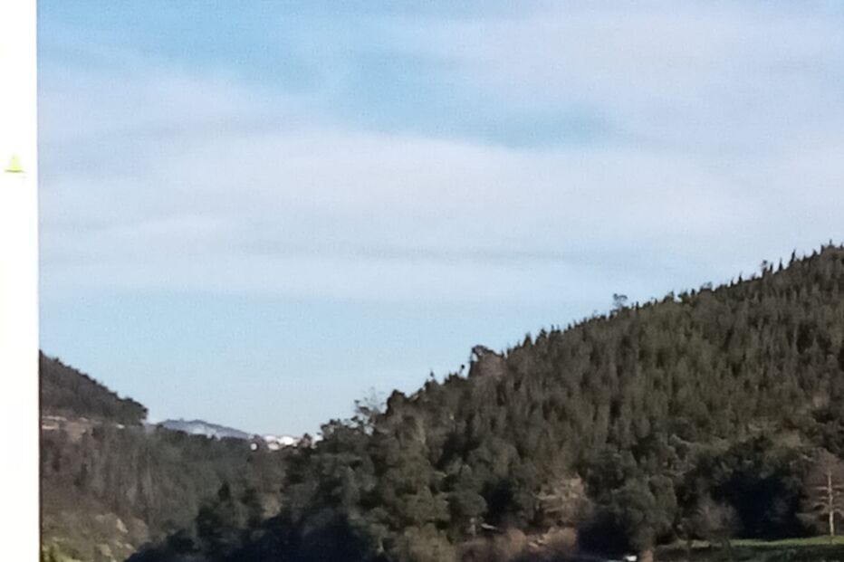 2022-01-21_16_49_37 WhatsApp Image 2022-01-21 at 16.45.31 (1).jpg