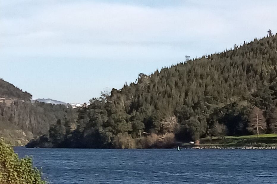 2022-01-21_16_49_40 WhatsApp Image 2022-01-21 at 16.45.31.jpg