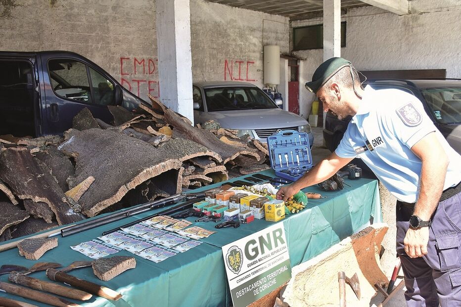 /fotospublicadas/Fotos/2-35714654 (12684806) (Milenium)