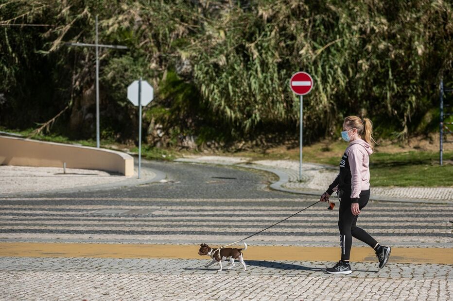 Imagem LGU_9746.JPG (12683806) (Milenium)