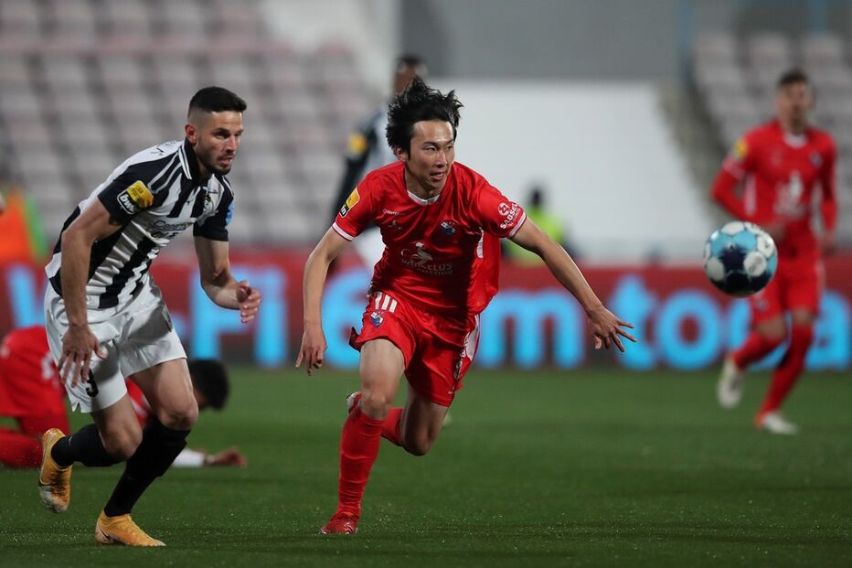 35345485.JPG (12684153) (Milenium)