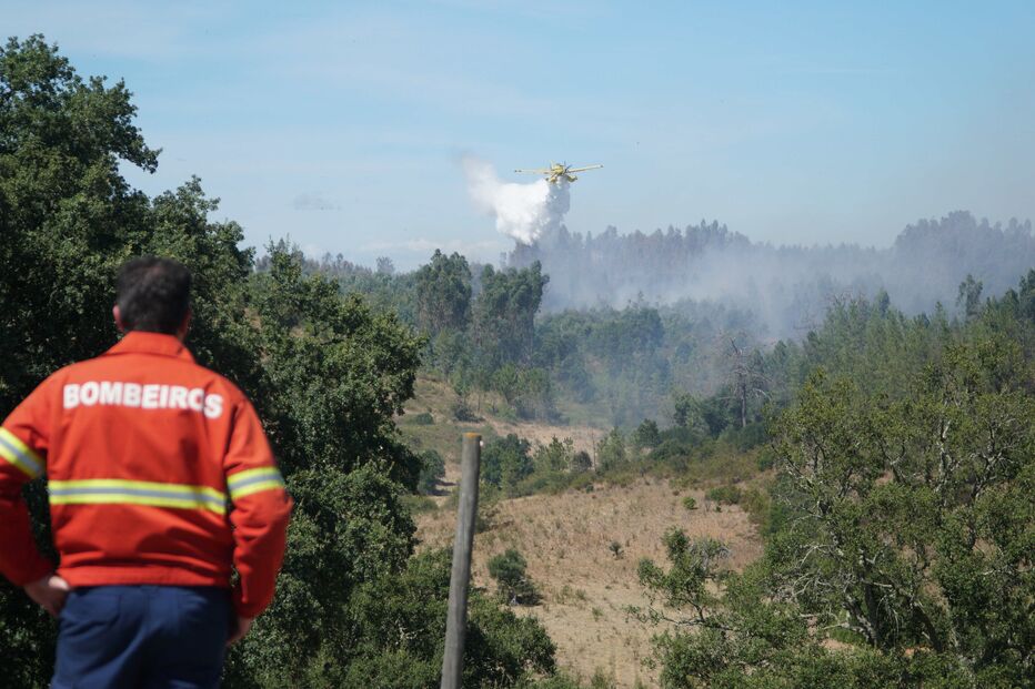 Imagem PBP00125.JPG (12747675) (Milenium)