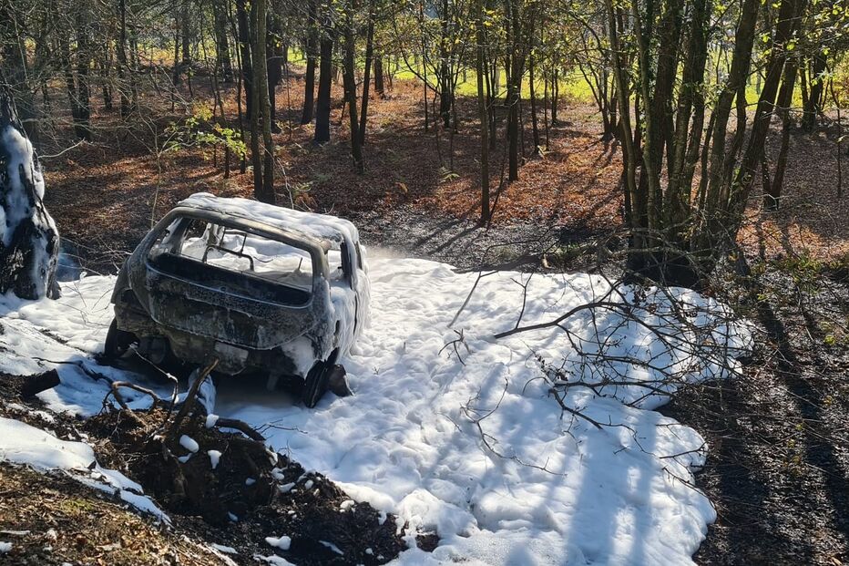 Carro destruído pelas chamas após despiste em Monção