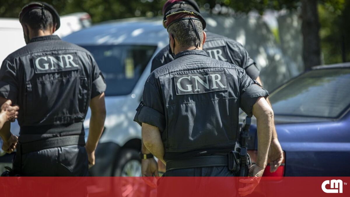 Três Pessoas Detidas Pela Gnr Em Odemira Por Suspeitas De Tráfico De