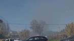 Incêndio deflagra em zona de mato em Almada