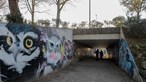 Violadores em série atacam quatro mulheres em Coimbra 