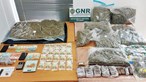 Três pessoas detidas por tráfico de droga em Grândola e Estoril