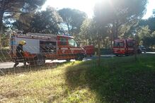 2022-02-01_15_58_12 7b35a7f9-1124-46b1-b0e1-335459bc7e91.jpg