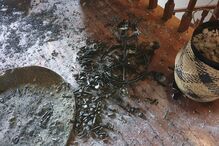 Incêndio destrói casa em Vila Verde