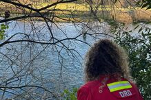 Resgate de cão em Arcos de Valdevez