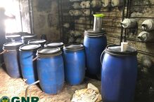 Operação “Cuba” leva à apreensão de mais de 6500 litros de aguardente em Lousada