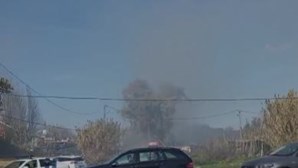 Incêndio deflagra em zona de mato em Almada