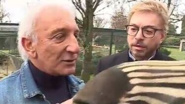 "Foi uma violência chegar e vê-las mortas no chão": Fernando Póvoas recorda perda da Zebra preferida do "Zoo"