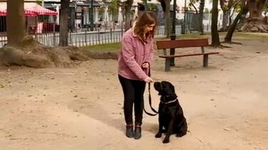 Rover já aprendeu a socializar com outros cães