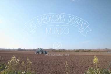 Produtor de batatas fritas de Montemor-o-Velho faturou 7,5 Milhões na exportação em 2021 