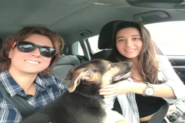 Mulher apanha 18 anos por matar ex-companheira com 12 facadas no Porto