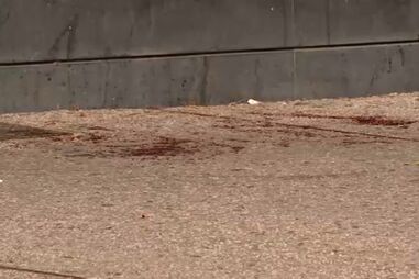 Filho de fadista Artur Batalha morre em poça de sangue em Lisboa