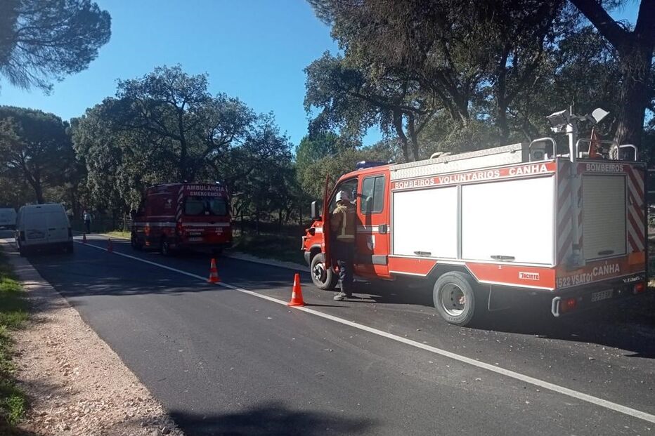 2022-02-01_15_58_12 6d3747bb-6424-483d-ba07-4502d49630d7.jpg