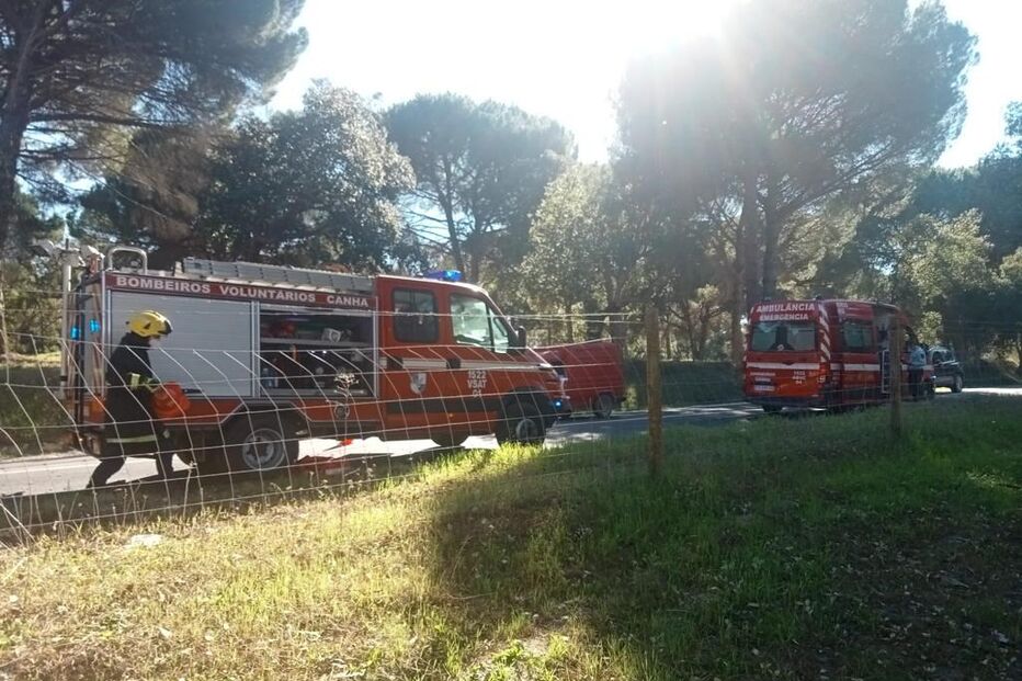 2022-02-01_15_58_12 7b35a7f9-1124-46b1-b0e1-335459bc7e91.jpg