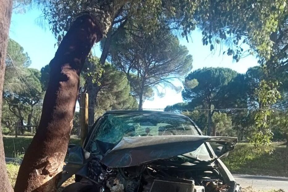 2022-02-01_15_58_16 5702c434-b243-4375-bc90-2a6395dcf4e7.jpg