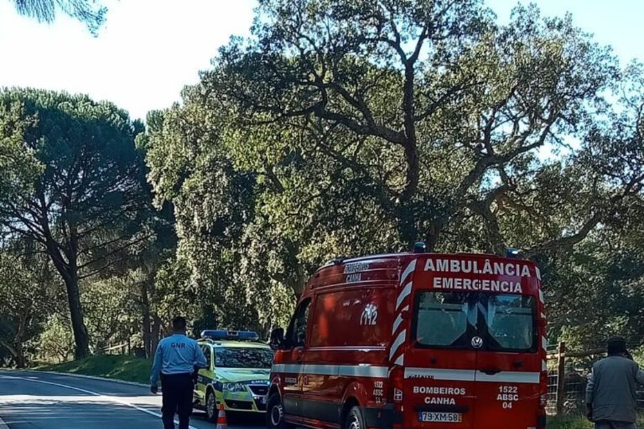 2022-02-01_15_58_23 e41faee2-8dd3-468e-93c6-290f797ce0fa.jpg