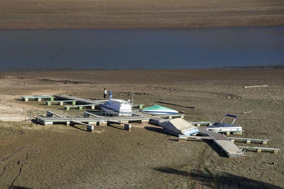 2022-02-03_11_15_13 42069291.jpg