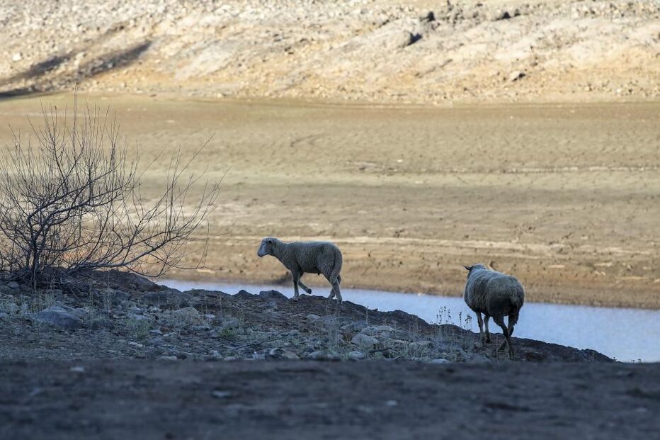 2022-02-03_11_15_15 42069278.jpg