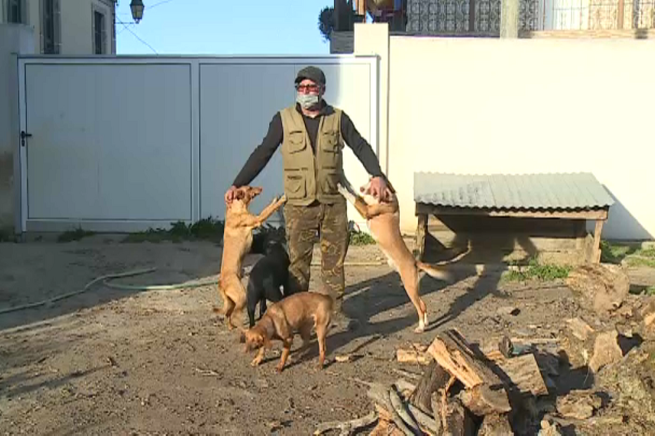  13 cães, cinco gatos e águias envenenados em menos de um mês em Vila Flor