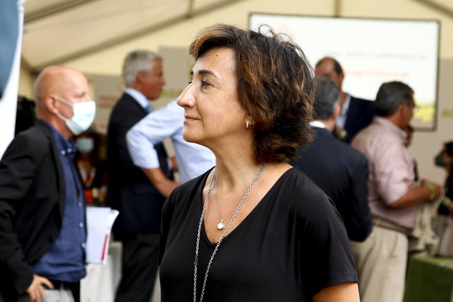 Maria do Céu Antunes