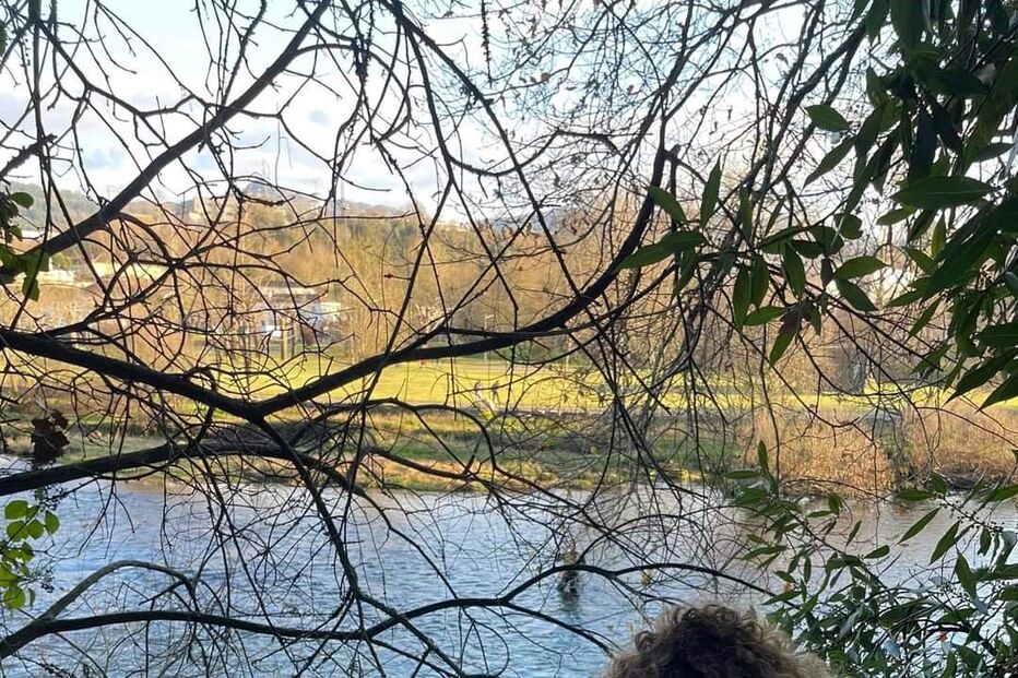Resgate de cão em Arcos de Valdevez