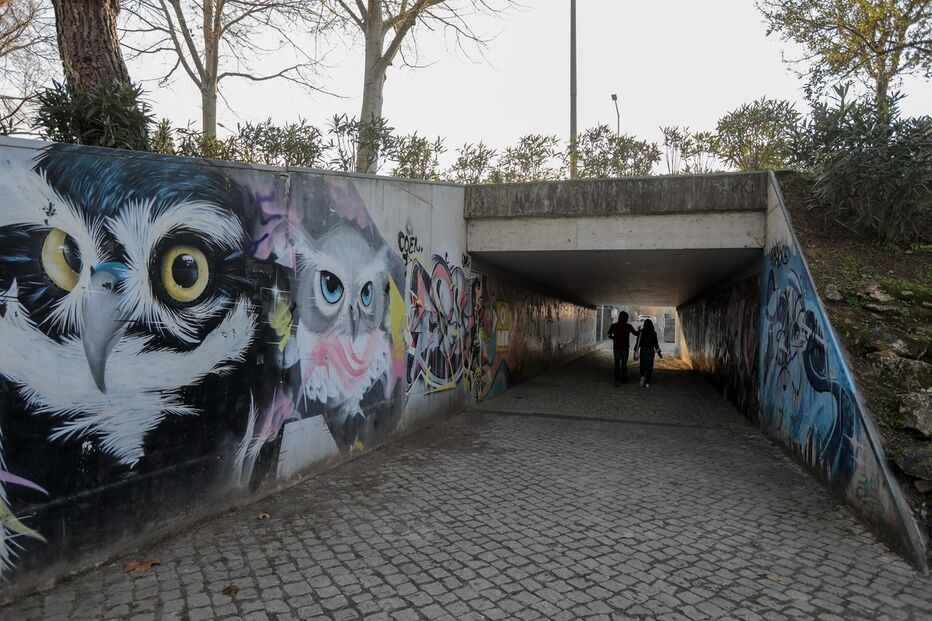 /fotosgeral/Fotos/2-42097127 (12835722) (Milenium)