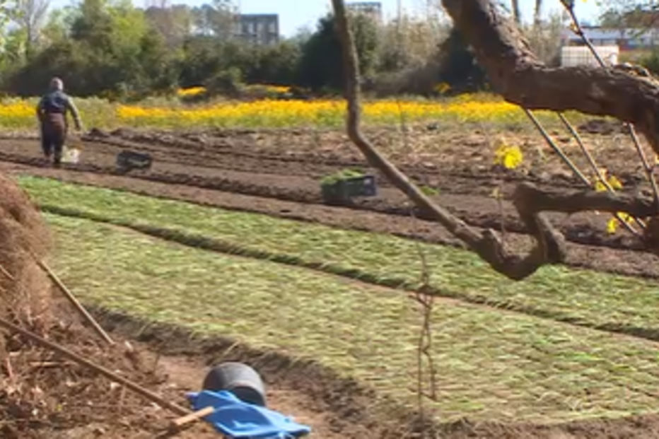 Tenta matar cunhado com carro em Paredes por descarga de fossa