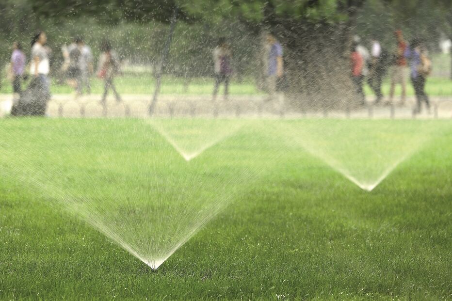 Rega com água da rede pública está suspensa em vários concelhos do País 