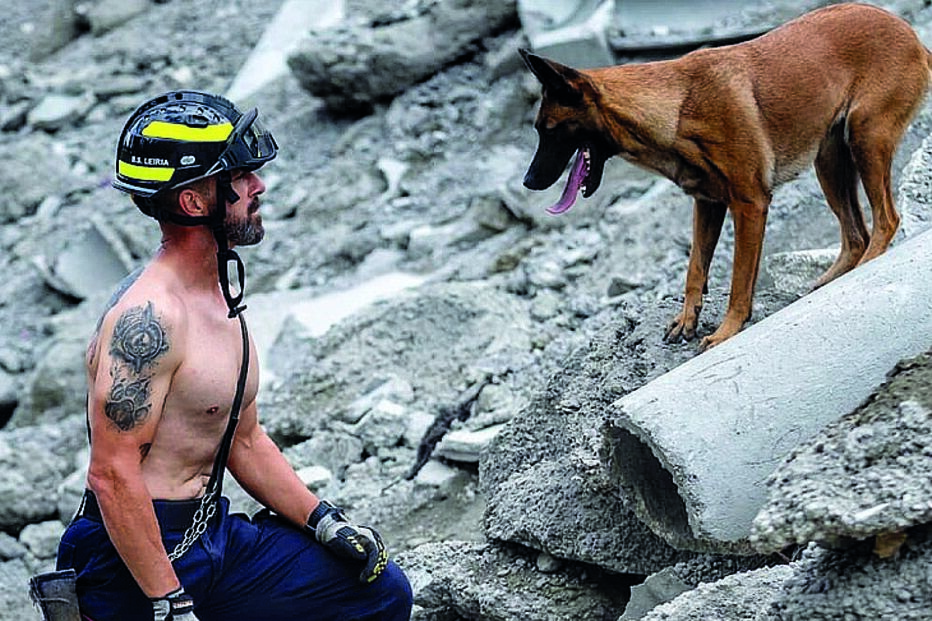 Bombeiros Sapadores  de Leiria  já estão a pensar no calendário  de 2023