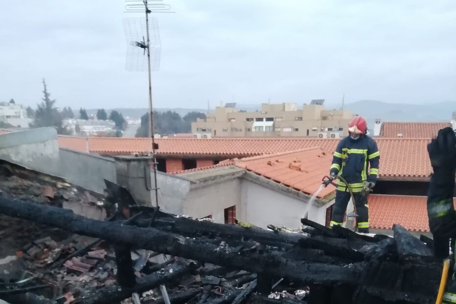 Imagem PHOTO-2022-02-12-12-06-35.JPG (12914112) (Milenium)