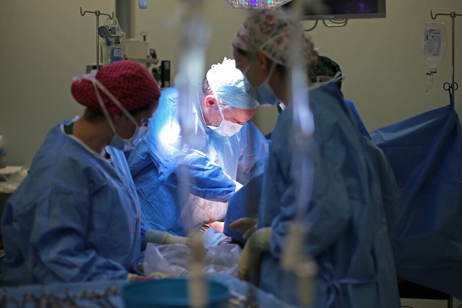 Imagem DAM_8950.JPG (12944014) (Milenium)